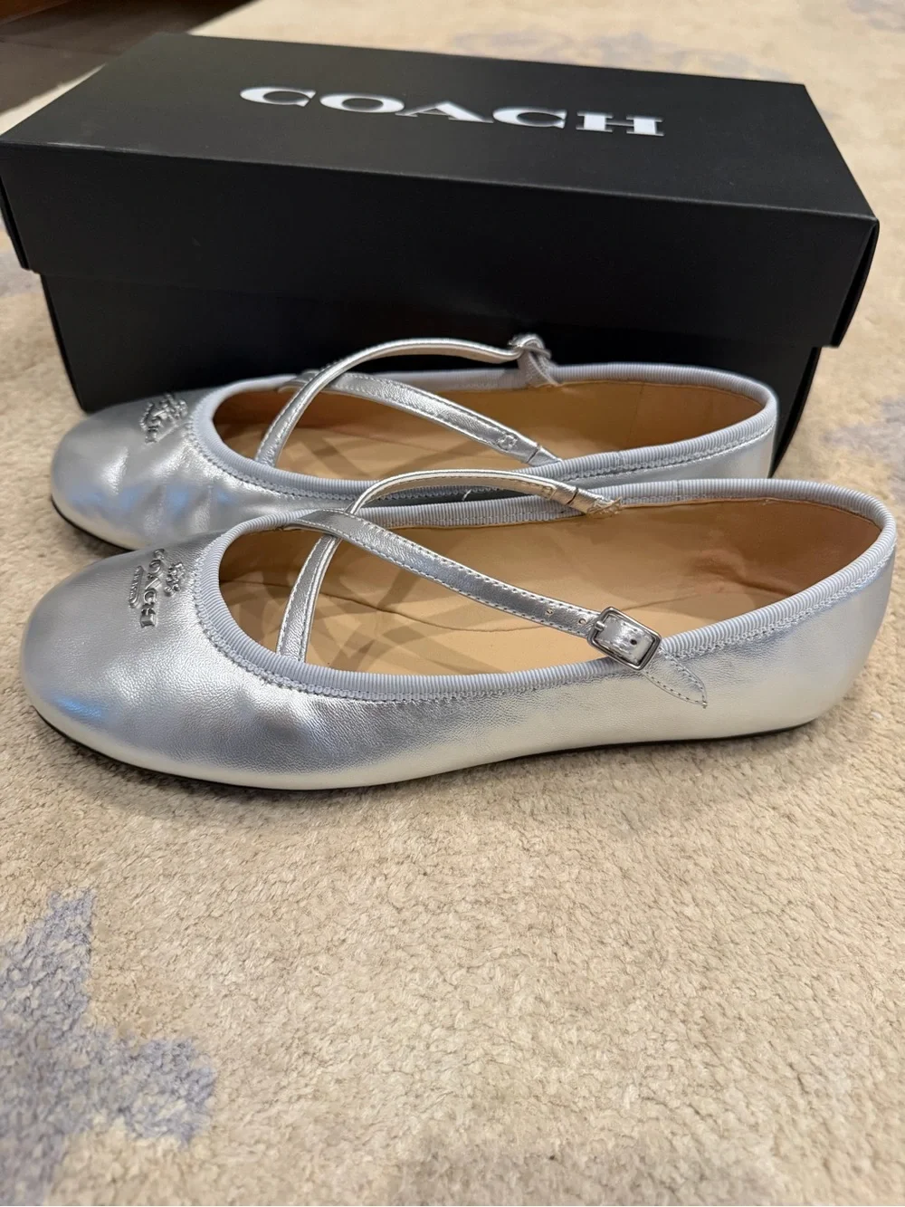 Coach Phoebe Silver Ballet Flats
